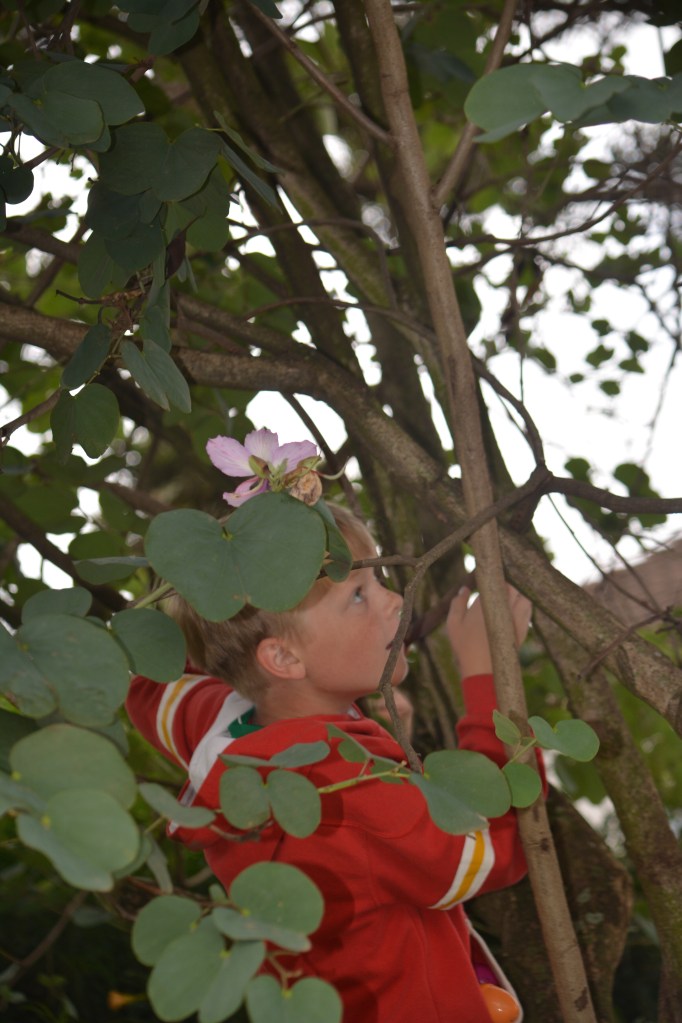 Sometimes you have to climb to get that egg!