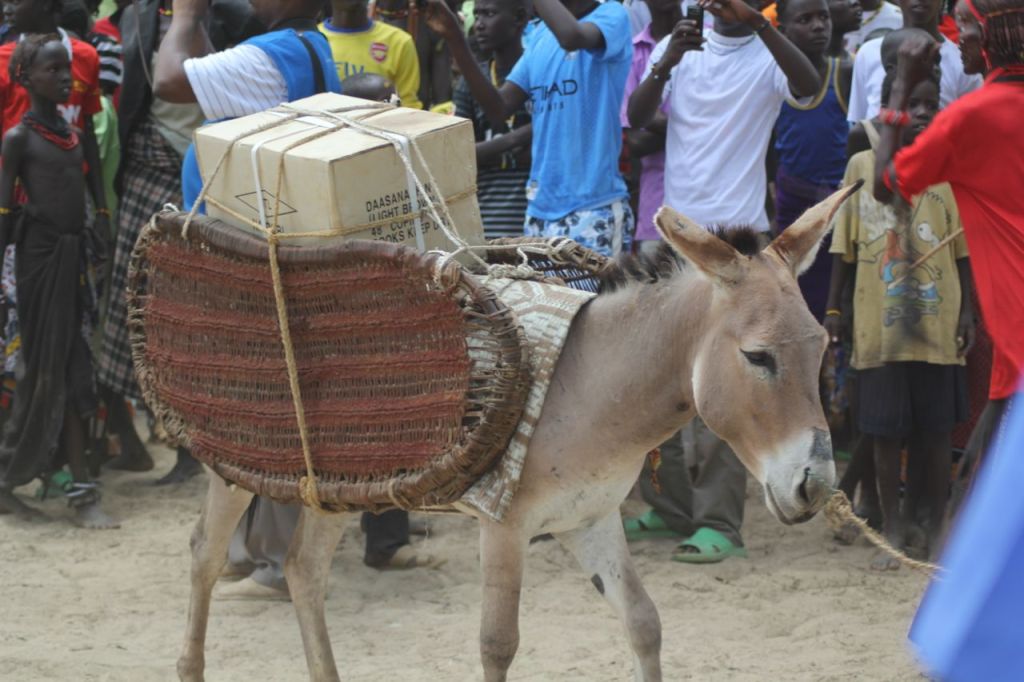 Dasanaach New Testaments being brought in