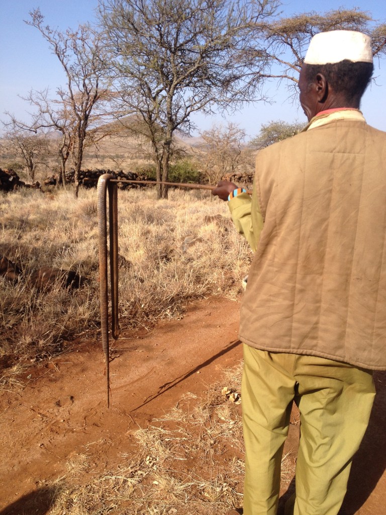 One of the night guards holding up the Black Mamba snake.