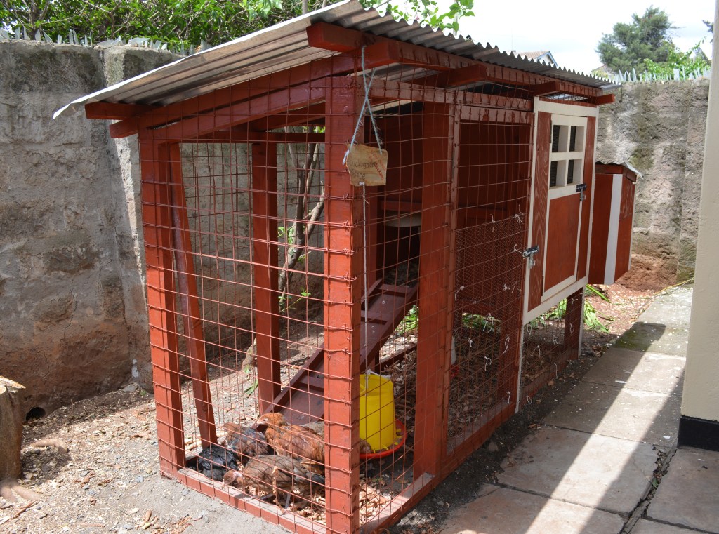 Our chicken house...or, as Lydia named it 'Buckingham Palace...now owned by chickens'!