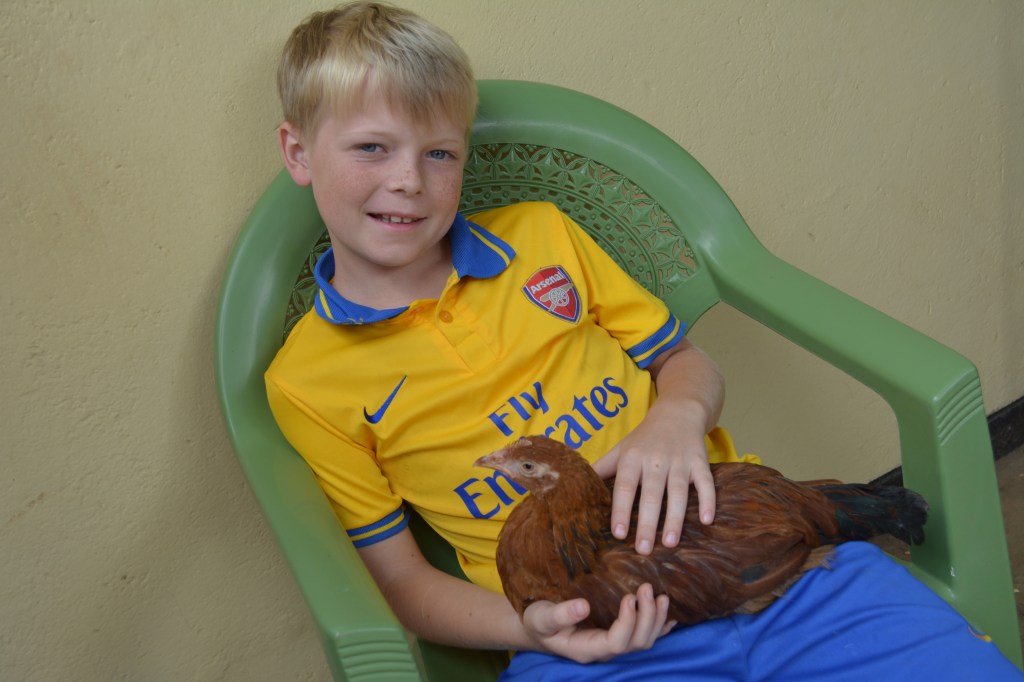 Abraham with his rooster, 'Charles'...or perhaps it's 'Prince Charles'