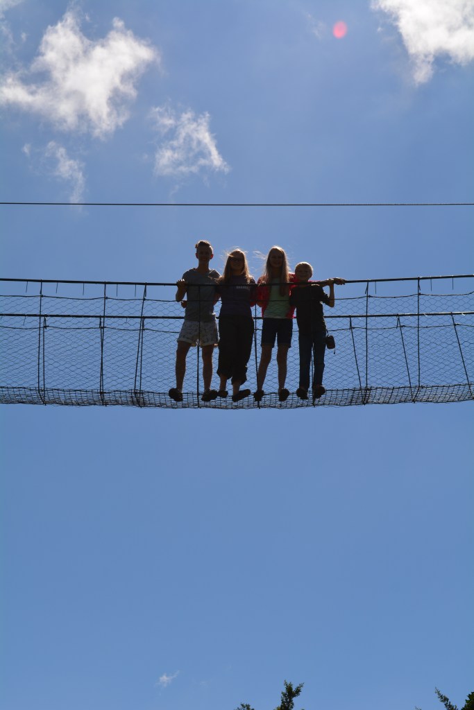 Photo from below the canopy walkway