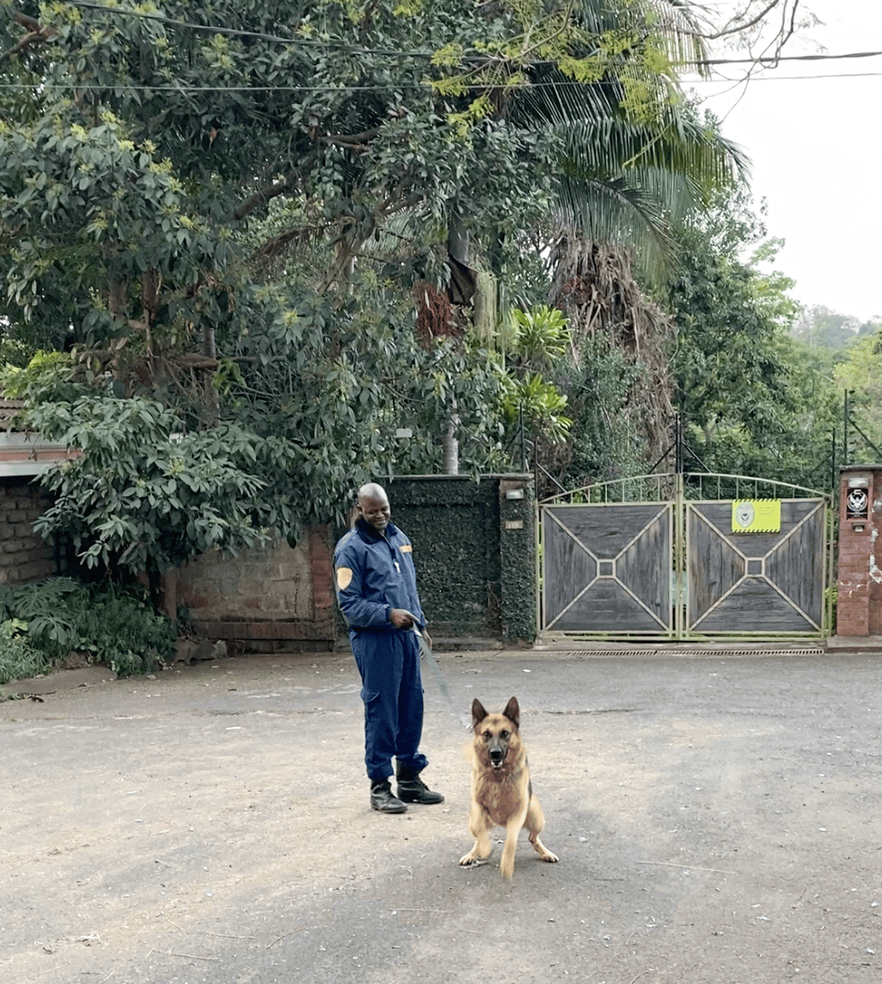 Noisy Deliveries in&nbsp;Nairobi